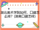 湖北美术学院如何，口碑怎么样？(湖美口碑怎样)