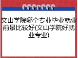 文山学院哪个专业毕业就业前景比较好(文山学院好就业专业)