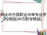 怀化中方县职业中等专业学校杨燚(中方职专杨燚)