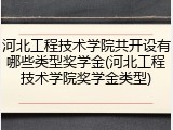 河北工程技术学院共开设有哪些类型奖学金(河北工程技术学院奖学金类型)