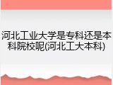 河北工业大学是专科还是本科院校呢(河北工大本科)