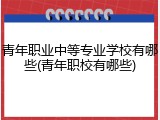 青年职业中等专业学校有哪些(青年职校有哪些)