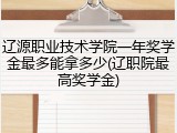 辽源职业技术学院一年奖学金最多能拿多少(辽职院最高奖学金)