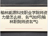 榆林能源科技职业学院师资力量怎么样，名气如何(榆林职院师资名气)