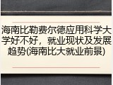 海南比勒费尔德应用科学大学好不好，就业现状及发展趋势(海南比大就业前景)