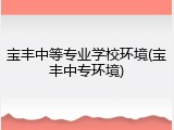 宝丰中等专业学校环境(宝丰中专环境)