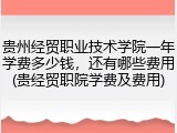 贵州经贸职业技术学院一年学费多少钱，还有哪些费用(贵经贸职院学费及费用)