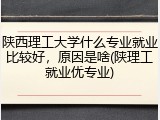 陕西理工大学什么专业就业比较好，原因是啥(陕理工就业优专业)