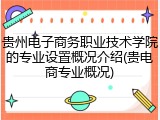 贵州电子商务职业技术学院的专业设置概况介绍(贵电商专业概况)