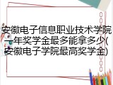 安徽电子信息职业技术学院一年奖学金最多能拿多少(安徽电子学院最高奖学金)