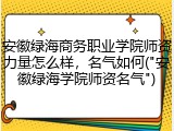 安徽绿海商务职业学院师资力量怎么样，名气如何("安徽绿海学院师资名气")