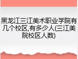 黑龙江三江美术职业学院有几个校区,有多少人(三江美院校区人数)