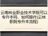 云南林业职业技术学院可以专升本吗，如何操作(云林职院专升本流程)