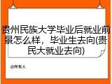 贵州民族大学毕业后就业前景怎么样，毕业生去向(贵民大就业去向)