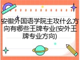 安徽外国语学院主攻什么方向有哪些王牌专业(安外王牌专业方向)