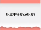 职业中等专业(职专)