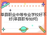 莘县职业中等专业学校好不好(莘县职专如何)
