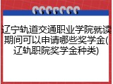 辽宁轨道交通职业学院就读期间可以申请哪些奖学金(辽轨职院奖学金种类)