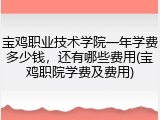 宝鸡职业技术学院一年学费多少钱，还有哪些费用(宝鸡职院学费及费用)