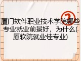 厦门软件职业技术学院哪些专业就业前景好，为什么(厦软院就业佳专业)