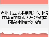 宿州职业技术学院如何申请在读间的创业无息贷款(宿职院创业贷款申请)