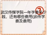 武汉传媒学院一年学费多少钱，还有哪些费用(武传学费及费用)