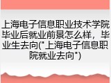 上海电子信息职业技术学院毕业后就业前景怎么样，毕业生去向("上海电子信息职院就业去向")