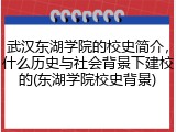 武汉东湖学院的校史简介，什么历史与社会背景下建校的(东湖学院校史背景)