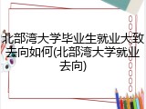北部湾大学毕业生就业大致去向如何(北部湾大学就业去向)