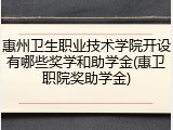 惠州卫生职业技术学院开设有哪些奖学和助学金(惠卫职院奖助学金)