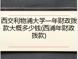 西交利物浦大学一年财政拨款大概多少钱(西浦年财政拨款)