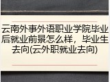 云南外事外语职业学院毕业后就业前景怎么样，毕业生去向(云外职就业去向)