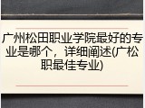 广州松田职业学院最好的专业是哪个，详细阐述(广松职最佳专业)
