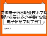 安徽电子信息职业技术学院到毕业要花多少学费("安徽电子信息学院学费")