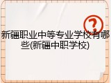 新疆职业中等专业学校有哪些(新疆中职学校)