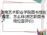湖南艺术职业学院图书馆在哪里，怎么样(湘艺职图书馆位置评价)