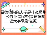 景德镇陶瓷大学是什么级别，公办还是民办(景德镇陶瓷大学级别性质)
