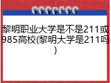 黎明职业大学是不是211或985高校(黎明大学是211吗)