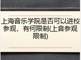 上海音乐学院是否可以进校参观，有何限制(上音参观限制)