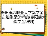 贵阳康养职业大学奖学金评定细则是怎样的(贵阳康大奖学金细则)