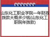 山东化工职业学院一年财政拨款大概多少钱(山东化工职院年拨款)