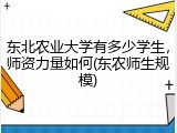 东北农业大学有多少学生，师资力量如何(东农师生规模)