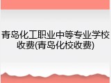 青岛化工职业中等专业学校收费(青岛化校收费)