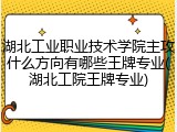 湖北工业职业技术学院主攻什么方向有哪些王牌专业(湖北工院王牌专业)