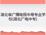 湖北省广播电视中等专业学校(湖北广电中专)
