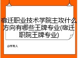 宿迁职业技术学院主攻什么方向有哪些王牌专业(宿迁职院王牌专业)
