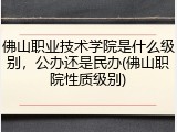 佛山职业技术学院是什么级别，公办还是民办(佛山职院性质级别)