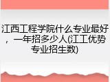 江西工程学院什么专业最好，一年招多少人(江工优势专业招生数)