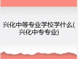 兴化中等专业学校学什么(兴化中专专业)