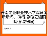 云南锡业职业技术学院含金量量吗，值得报吗(云锡职院值得报吗)
